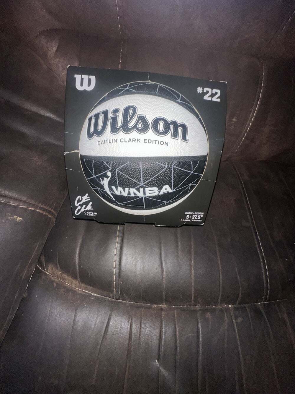 Wilson Caitlin Clark Edition WNBA Ascent Indoor/Outdoor Basketball Size 5